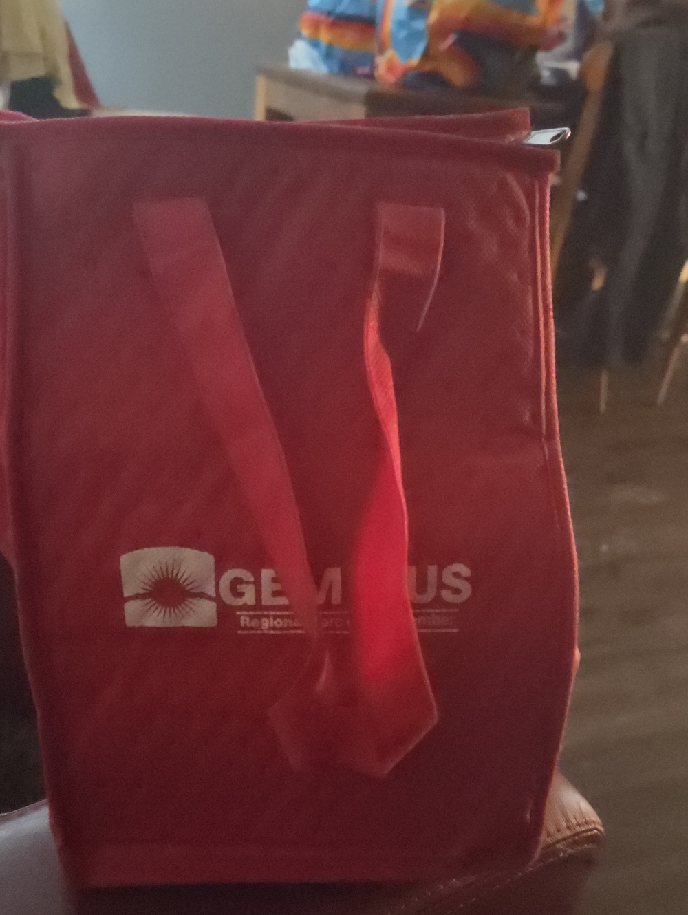Red Insulated Tote Lunch Bag